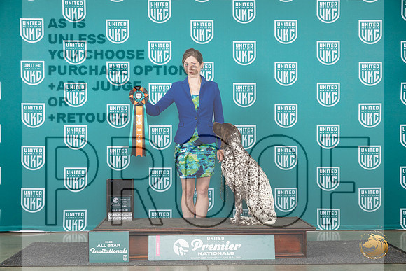 German Shorthaired Pointer #215 Thurs Top10RM 5th Judge Terri Rein__JP_2348_Premier_2024_HR3