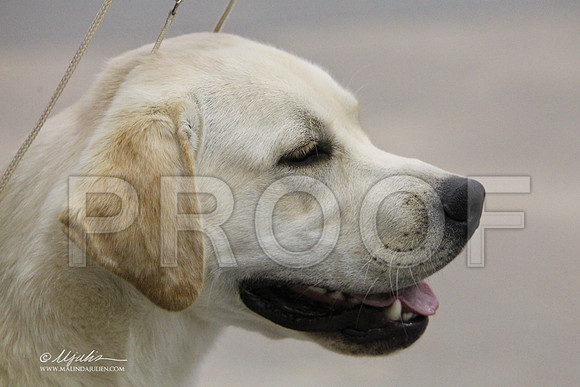 lab-7669LR