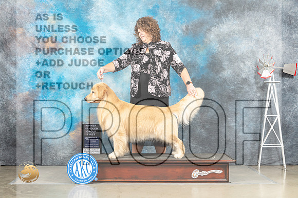 Golden Retreiver #11 Sat OHG1 Judge Debra Thornton_MJ_4703_Amarillo_2022_HR3