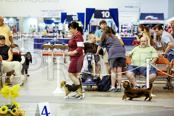 _JN_7317-HstnJul2014-HR3