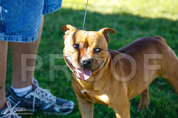_JN_4376-AlamogordoOct2014-HR3