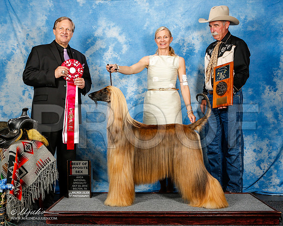 _ST_4571-2-AfgBeltonOct2014-HR3