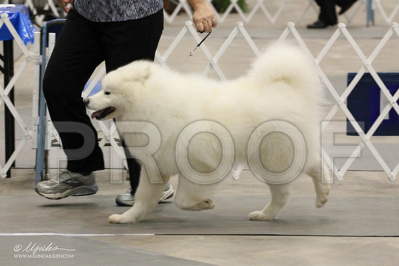 IMG_8906-Abilene2011-HR3