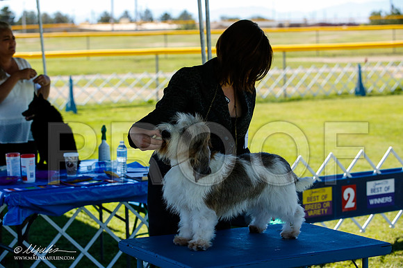 _JN_5175-AlamogordoOct2014-HR3