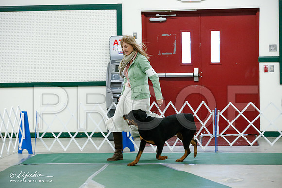 _JJ_4439-NrmnNov2014-HR3