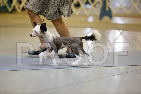 _JJ_9036-AmarilloSept2014-HR3