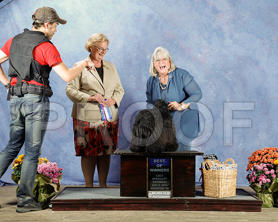 _CL_4826-2-HstnNov2014-HR