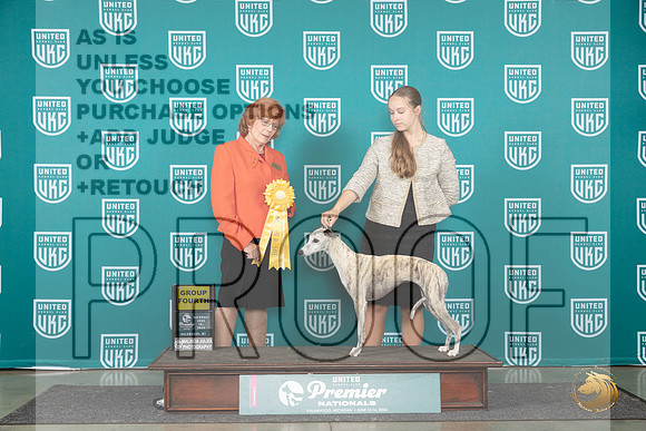 Whippet #578 Sat G4 Judge Sharon Griffin__JP_2287_Premier_2024_HR3