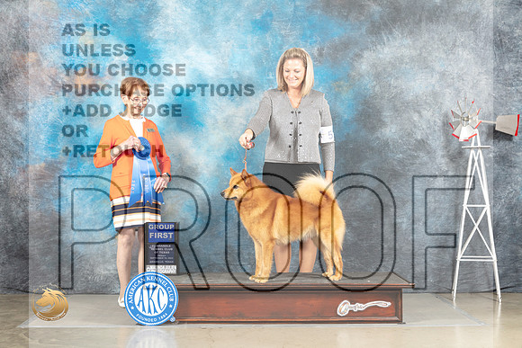 Finnish Spitz #5 Fri G1 Judge Sharon Derrick_MJ_4075_Amarillo_2022_HR3