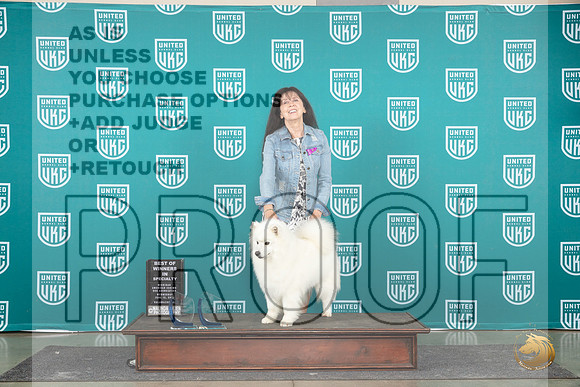 American Eskimo #113 Wed BOW Judge Diana Brumbaugh__JP_0587_Premier_2024_HR3
