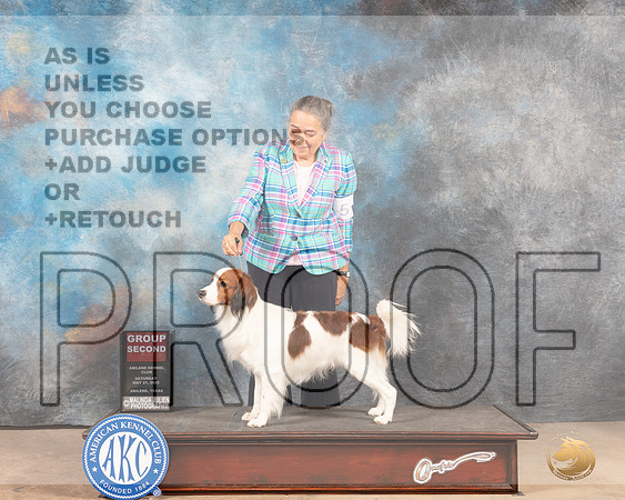 Kooikerhondje #5 Sat G2 Judge Pat Trotter-MMJ_4137-Abilene2022-HR3