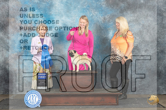 Pug #5 Sat G1 Judge Ann Bolus__JP_3776_Lubbock_2024_HR3