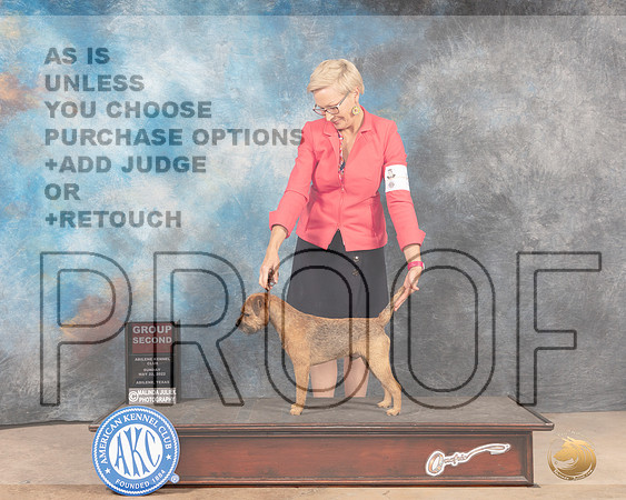 Border Terrier #5 Sun G2 Judge Mary Jane Carberry-MMJ_5001-Abilene2022-HR3