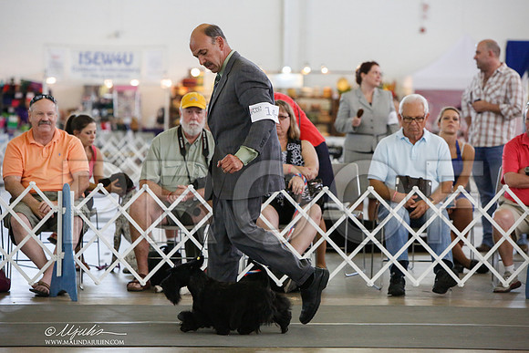 _JJ_2079-DallasJul2014-HR3