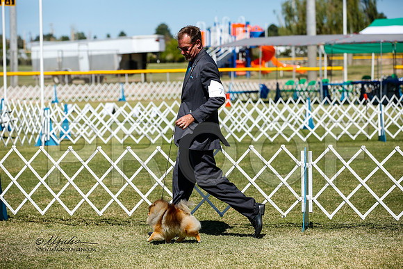 _JJ_3639-AlamogordoOct2014-HR3