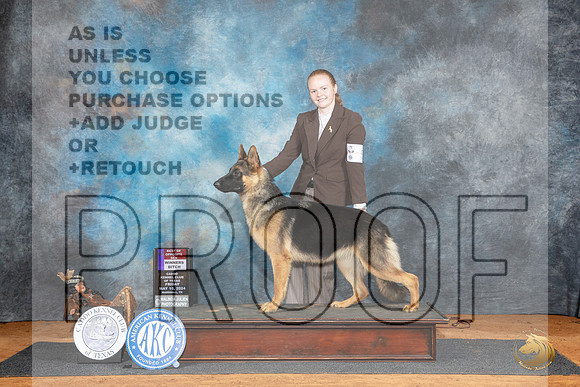 German Shepherd Dog #8 Fri WBBOS Judge Karen Hynek__JP_6911_MARSHALL_2024_HR3