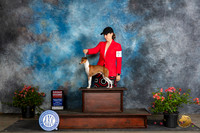 Italian Greyhound #21 Fri G2 Judge Wendy G Willhauck r