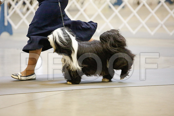 _JJ_8180-AmarilloSept2014-HR3