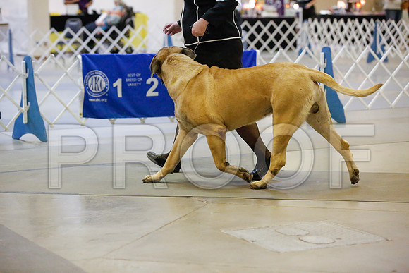 _JJ_8139-AmarilloSept2014-HR3