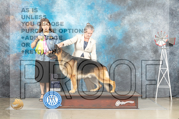 German Shepherd Dog #5 Thur OHBIS Judge Joan Liebes_MJ_3834_Amarillo_2022_HR3