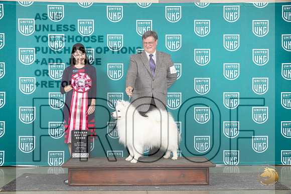 American Eskimo #110 Wed BV Judge Diana Brumbaugh__JP_0602_Premier_2024_HR3