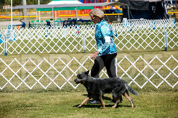 _JJ_3684-AlamogordoOct2014-HR3