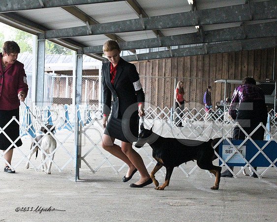 Jr.Dobe-9733