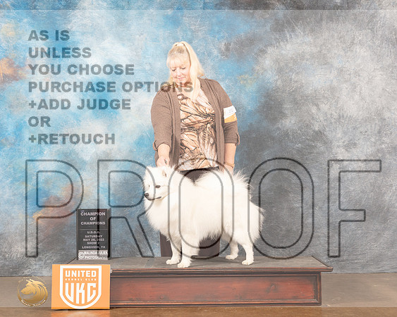 American Eskimo #252 Sat2 COC Judge Matthew ProctorMMJ_6201_Lngvw2022HR3