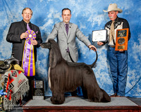 #121 Wed BISS BOB Missy Ann  Galloway Agent Christian Manelopoulos Judge David Frei e