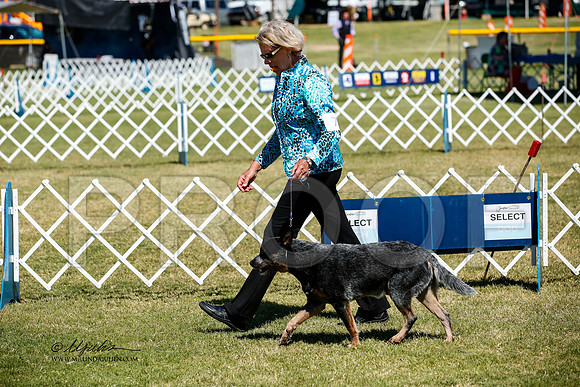 _JJ_3679-AlamogordoOct2014-HR3