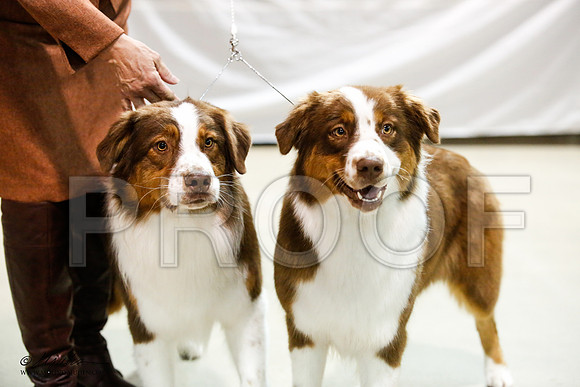 _JJ_1641-ASCACollegeStationNov2014-HR3