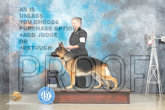 German Shepherd Dog #5 Sun OHG1 Judge Fred Bassett_MJ_5265_Amarillo_2022_HR3