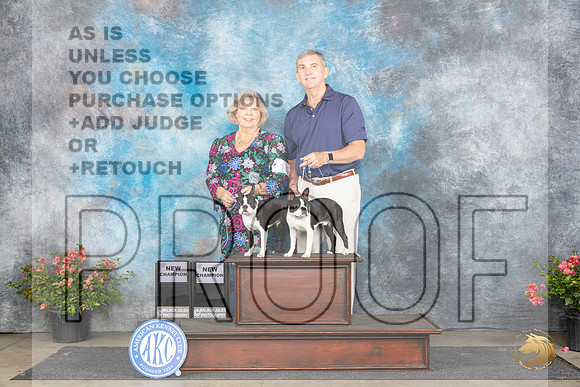Boston Terrier # Sat CH Judge __JP_4766_San Antonio_2024_HR3