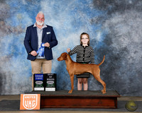 Angie Nalls UKC Longview TX Feb 2025
