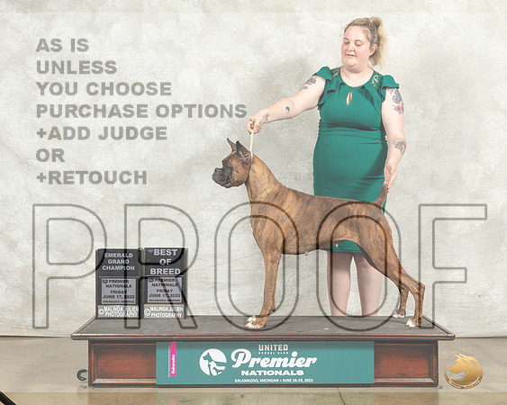 Boxer #903 Fri BOBEmGCh Judge Sandra Kowalski __MJ_8071_Premier_2022_HR3