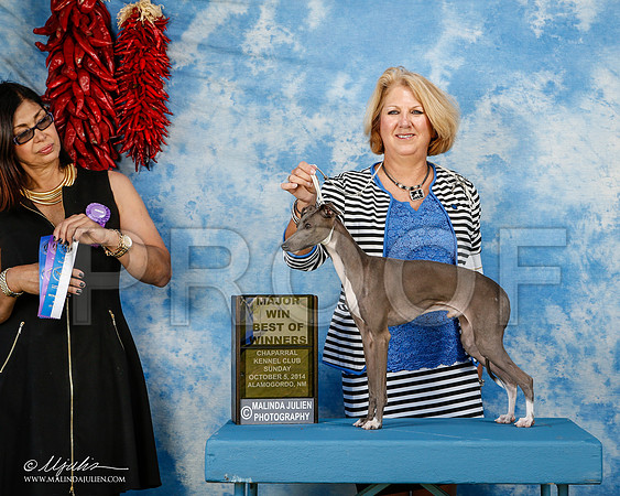 _ST_3142-2-AlamogordoOct2014-HR3
