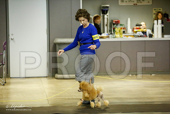 _JJ_5524-BeltonJan2015IABCA-HR3