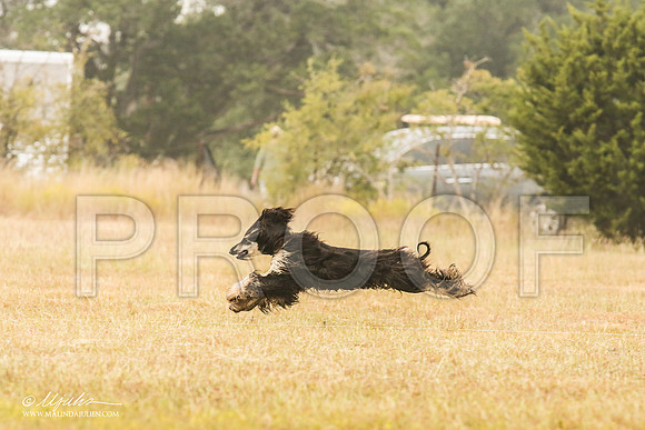 _MJ_2900-AfgBeltonOct2014-HR3