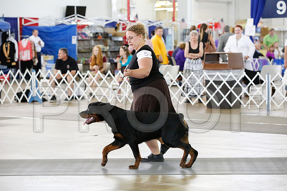 _HR_4287-DallasJul2014-HR3