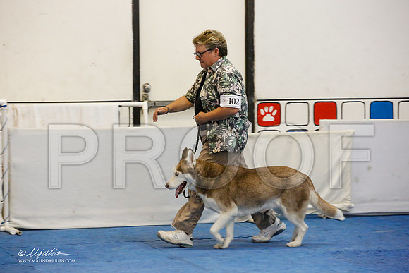 _M3_7835-AddisonHuskyMar2015-HR3
