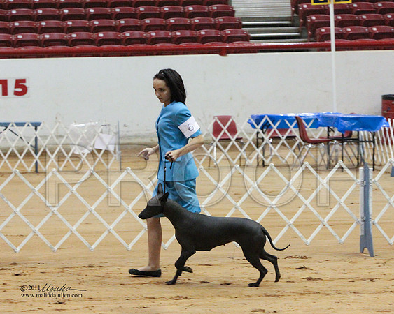 Xolos-1473-LR