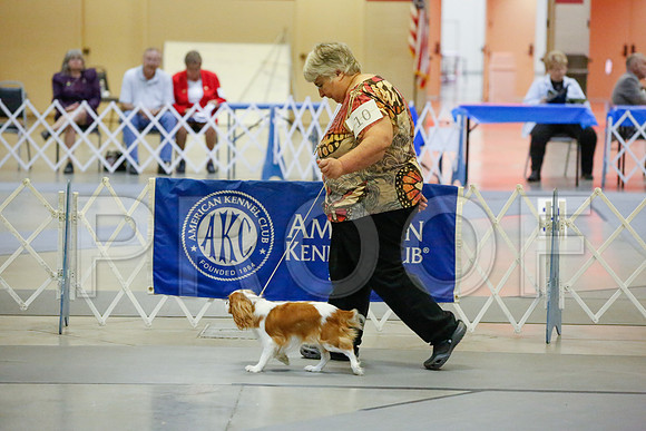 _JJ_1029-AmarilloSept2014-HR3