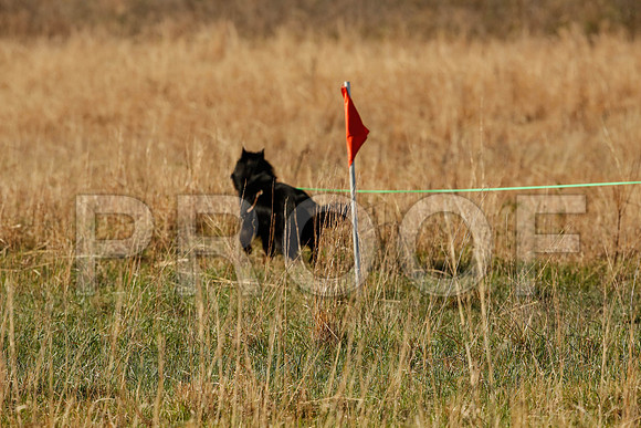 _M3_4317-TlsaApr2014-HR