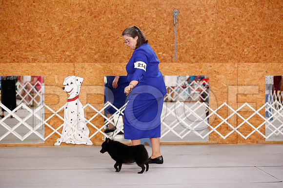 _RH_8382-CarlrolltonSept2014-HR3