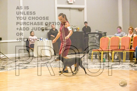 Manchester Terrier MTOY Candids-JJL_2157-Hstn2022_HR3