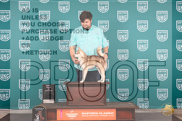 Alaskan Klee Kai # Thur BM Judge Tony Raposo__JP_1779_UKCEastern_2024_HR3