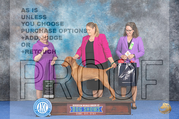 Vizsla #21 Wed AOM Judge Ida Kavafian__JP_7454_Houston_2024_HR3