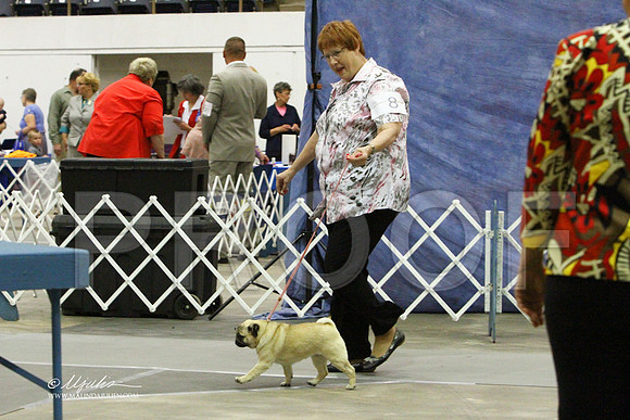 Pug-9335LR