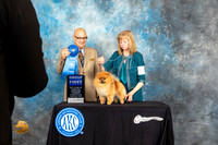 Pomeranian #59 Sat G1 Judge Bradley Jenkins