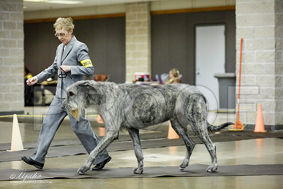 _RH_1390-BeltonJan2015IABCA-HR3